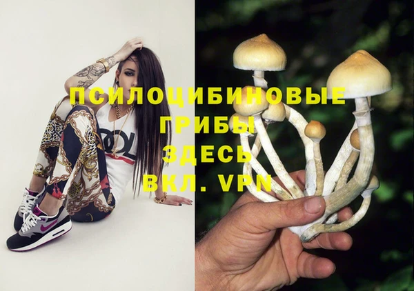 мескалин Белокуриха