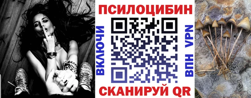 Галлюциногенные грибы Psilocybine cubensis  Купить где  Шарья 