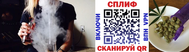 Канабис план  Купить  Шарья 